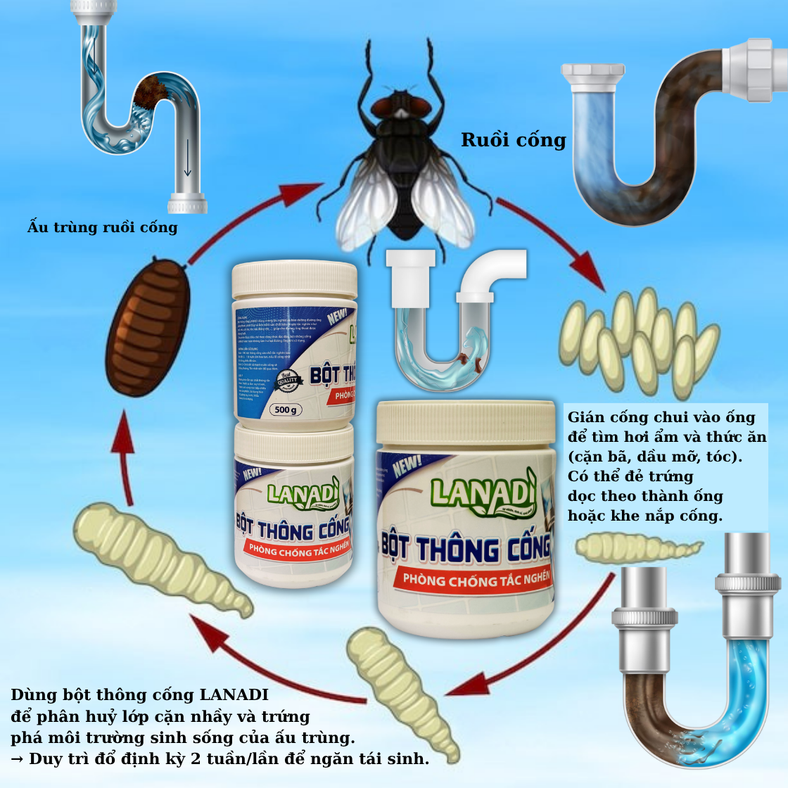 Bột thông cống Lanadi 4